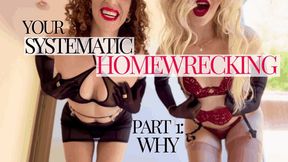 Your Systematic Homewrecking - Part 1: Why