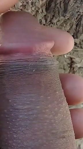 Beautiful Young College Girl Is Getting Fucked on the Road, They Have Her on All Fours