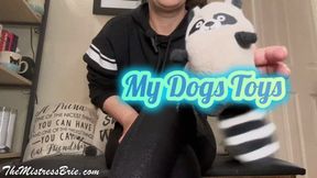 Jerk To My Dog Toys