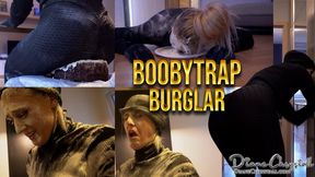 Cat Burglar boobytrap cakesitting