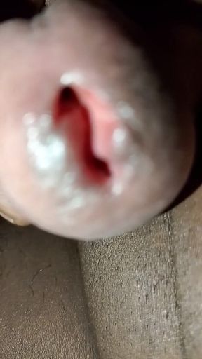 Cock Cock