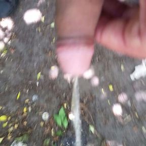 Pissing in the park and cock massage