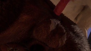 Big Lion Cums Inside Minotaur Grok | (Furry Gay Sex) | Wild Life Furries