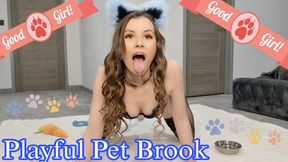 Playful Pet Brook