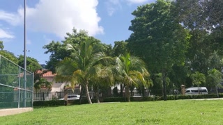 A Beautiful Day At The Park Met A Horny Sexy Ebony Slut Took Her To The Condo For Blowjob - Jhodez