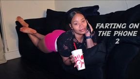 Farting On The Phone 2