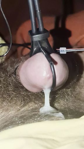 Estim cumshot