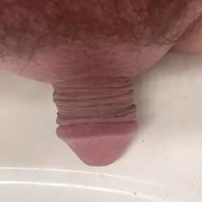 Tasting my own precum from micro penis