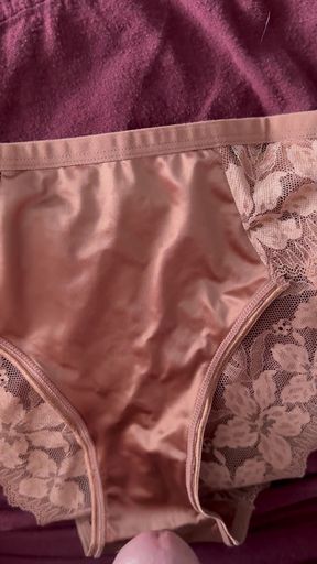 Cum on Wife's Panties 16