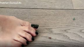 Giantess Fair Trade - Tiny Tresspassers Part 1