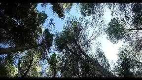 Bound Babe Sucks Cock in Wild BDSM Threesome