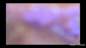 Small but impossible to stop looking at