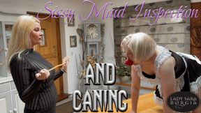 Sissy Maid Inspection and Caning (4K)