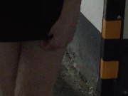 Amateur Girl Flashing her Pussy Upskirt in a Mall Parking