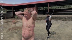 STABLE BULL WHIPPING in SPAIN - 02