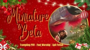 Miniature Beta: Trampling POV