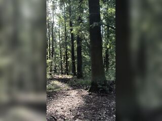 Spunk fountain in the centre of the forrest