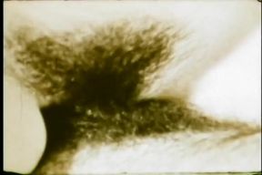 Super Sexy 70's