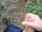 driving the truck I stopped to pee and had a quick wank