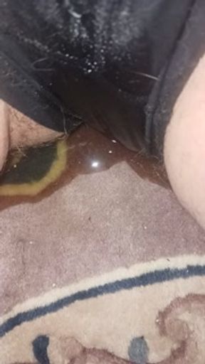 Release on the Living Room Rug