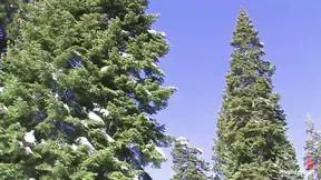Tahoe: Exiled From Dick Mountain Pt 1