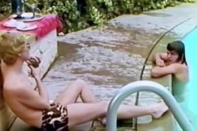 The Light From The Second Story Window (1973) 7