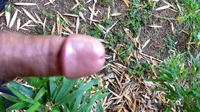 My dick need massage