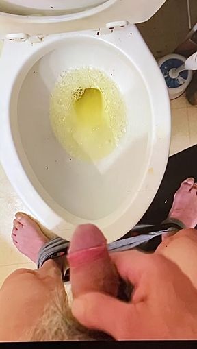 Ernie's new pissing video