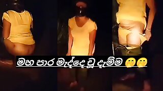 Sri lankan aunty outdoor pissing video
