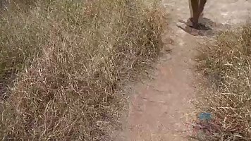 Mi Ha Doan is peeing in the nature, during the day and offering her pussy for free