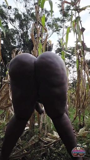 Shaking It Outside in the Village Maize Plantation