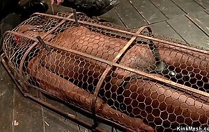 Master zappers ebony slave in cage