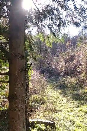 Old Man with a Huge Cock Went Out on a Hike and Squirted
