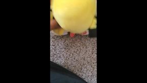 Black milf Pichu gets stuffed by a huge black cock