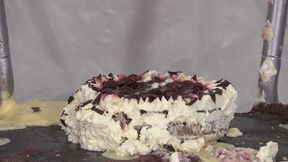 Faye Rampton messed in Cake
