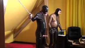 Visit of a latex slave