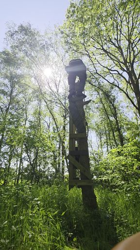 High in the tree shooting balls out of my ass