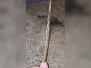 Short Carpet Urinate 《4k》