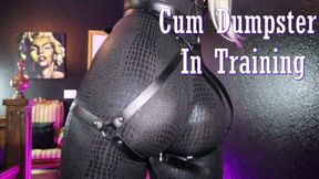 Custom Clip 227261