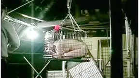 folded japanese is giving blowjob on her knees