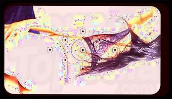 Best Friend's Boyfriend Takes My Ass Like a Pro, Leaving Me Milked and Satisfied