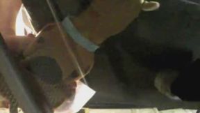 black workout pants glass table scooby