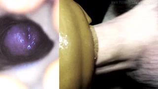 Whore Hole + Cum Pole = Cum Hole: Fleshlight internal camera.