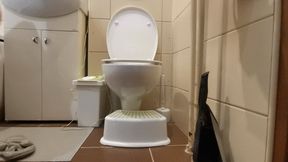 POV Sneaky Pussy view on toilet