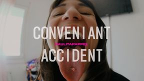 Convenient Accident - Paulita Pappel HQE