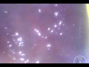 POV: Laying Eggs While You're Inside My Ass!