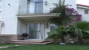 Young Desires Vol. 5