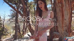 GROOBY: Weekly Roundup, 22nd Aug