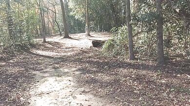 Elon stumbles hiking deep in the woods with that thick ebony.