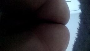 Novinho de Blumenau SC